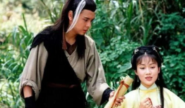 梁小冰电视剧,演绎经典角色，点亮荧幕传奇